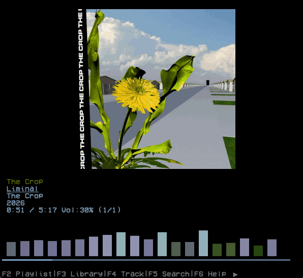 kew terminal music player screenshot